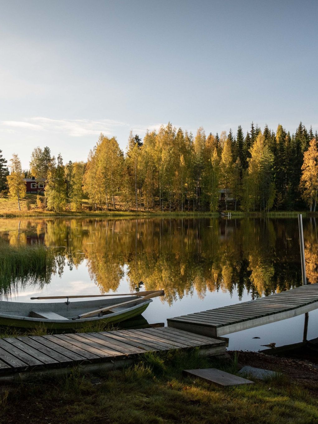 View on lake and nearby forest