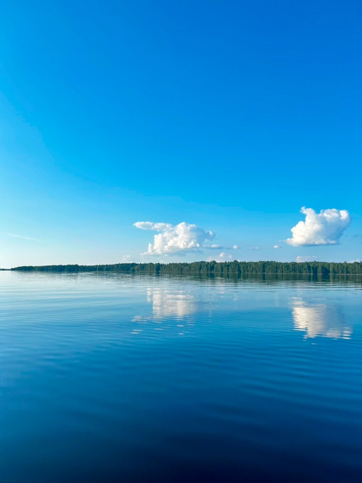 Lake view